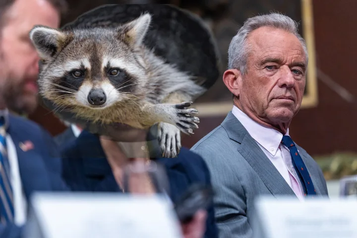 Composite image of a raccoon superimposed next to RFK Jr. at a formal event with other suited men.