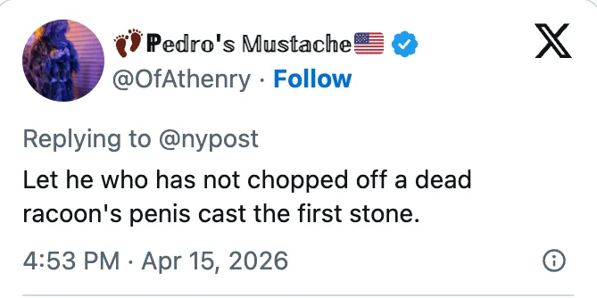 Screenshot of a tweet from @OfAthenry joking 'Let he who has not chopped off a dead racoon's penis cast the first stone,