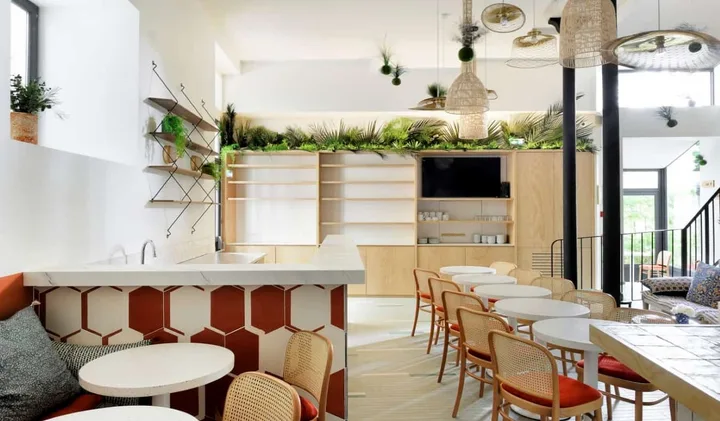 Modern bright hostel common area with plants, rattan chairs, kitchen counter, and natural light.