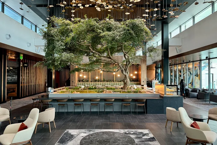 Stunning hotel lobby atrium featuring a large live tree centerpiece and bar seating.