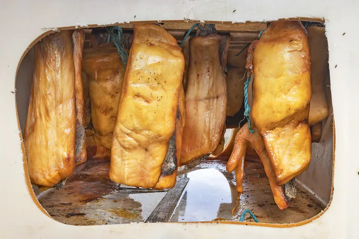 Several large smoked or cured fish fillets hanging inside a white container.