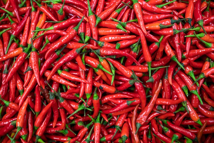Large pile of fresh red chili peppers with green stems filling the entire frame.