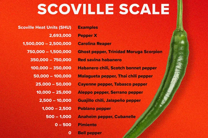 Infographic showing the Scoville Scale with heat units and pepper varieties listed alongside a green chili pepper.