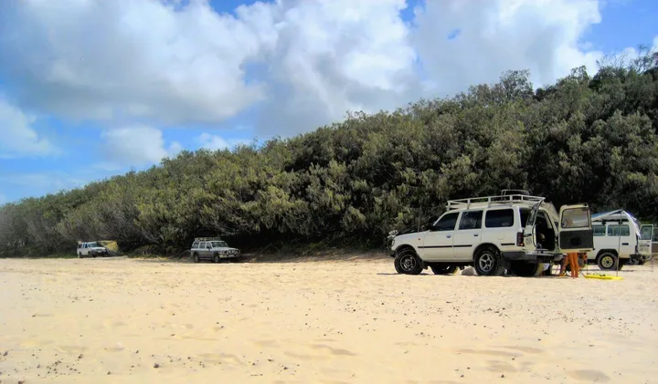 Several 4WD vehicles parked on a sandy beach beside dense Australian bushland under cloudy sky.