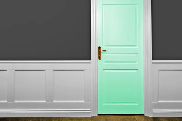 Mint green paneled interior door with brass handle against gray wainscoted wall.