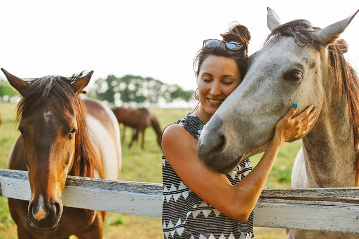 Smiling woman affectionately hugging a grey horse's head at a sunny paddock fence with other horses behind.