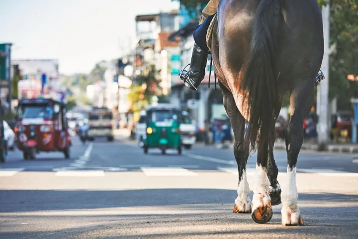 A rider on horseback walking down a busy urban street among traffic.