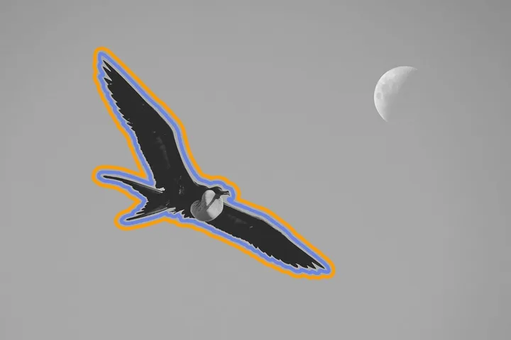 The Wildest Animal Sleep Habits You Never Knew Existed